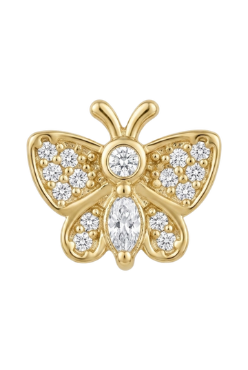 Mariposa Pasador