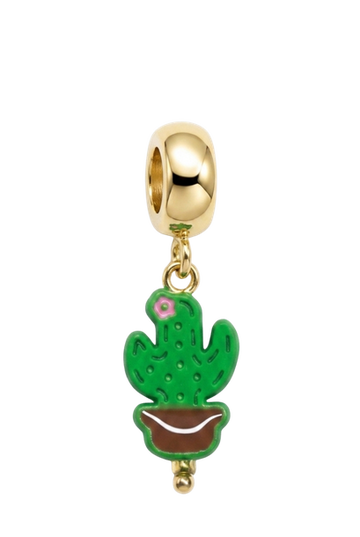 Cactus Encantado