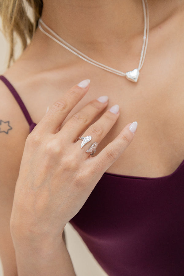 Anillo Plateado Vuelo